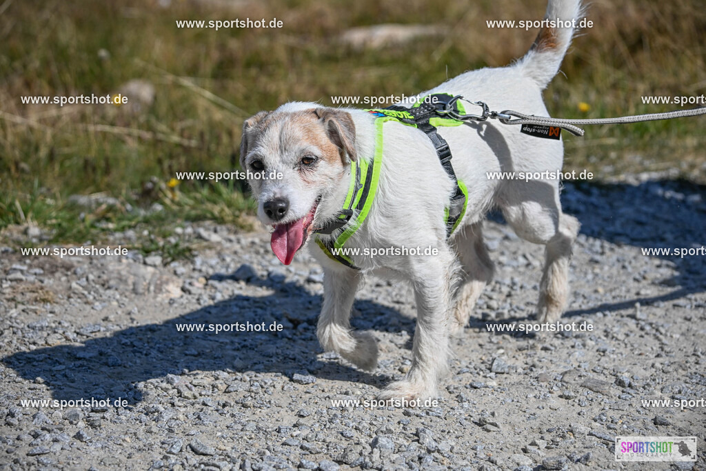 DSC_4511 | Arberland Ultra Trail                                          #yourpictrs #sportshot_your_pictrs                @Sportshotphotography                                   Photo Credit: www.sportshot.de