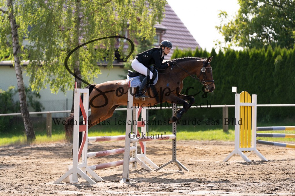A7507325 | Turnier/Reitfotograf