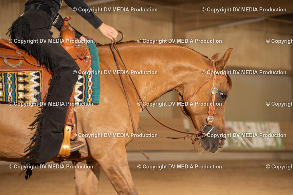 NID03182 | dv-media-shop - Realisiert mit Pictrs.com