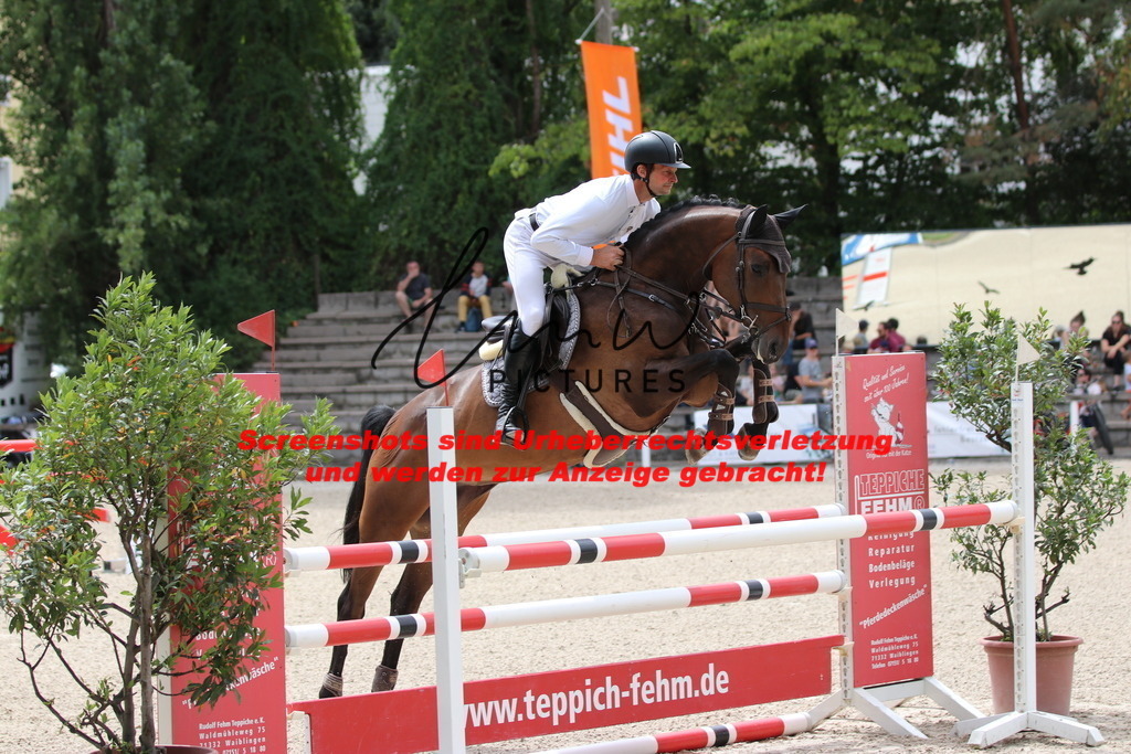 IMG_2087 | lmwpictures - Realisiert mit Pictrs.com