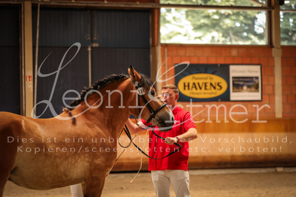 SaFL00101 | Leoni Ertmer Photography - Realisiert mit Pictrs.com