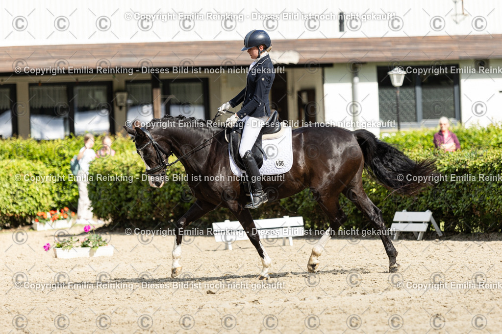 CL5A6007-2 | Emilia Reinking Fotografie - Realisiert mit Pictrs.com