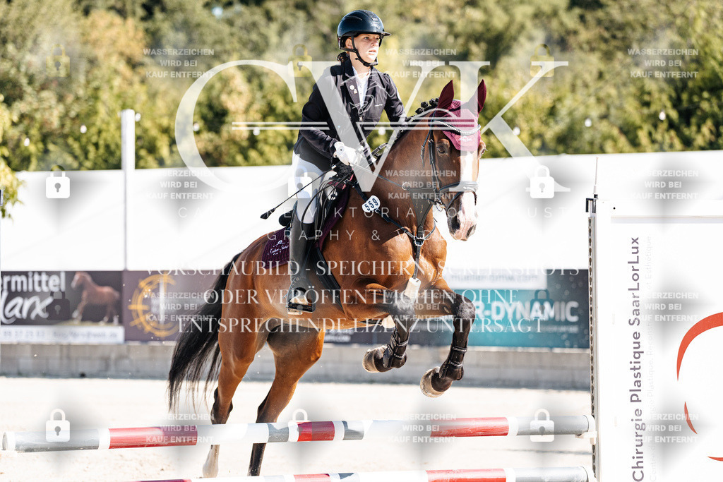 CK905046 | Turnierfotografie Pferdefotografie Trier Rheinland-Pfalz Pferdesport Reitsport Tierfotografie Sportfotografie Pferdevideo Pferdevideografie Equestrianvideography equestrianphotography  - Realisiert mit Pictrs.com