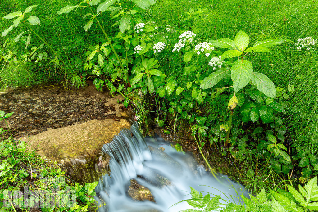 PS-Natur-2026-165 | Entdecke die größte Bildgalerie der Region mit Fotografien aus dem Allgäu, der Bodenseeregion, Oberschwaben, dem Donautal und der Schwäbischen Alb. Landschaften, Luftaufnahmen und Reisefotografie als Wandbild und Fotokunst. - Realisiert mit Pictrs.com