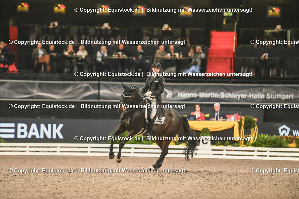 20231115_20_Dressur_Kl-S++_0392_TOMsPiC | Foto: Thomas Hartig