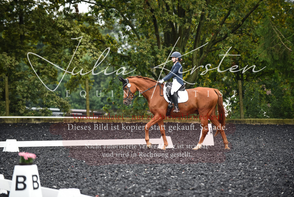 DSC_2760 | Pferde- und Turnierfotografie in Westsachsen. Pferdeportraits, Auftragszeichnungen und intuitive Kunst.