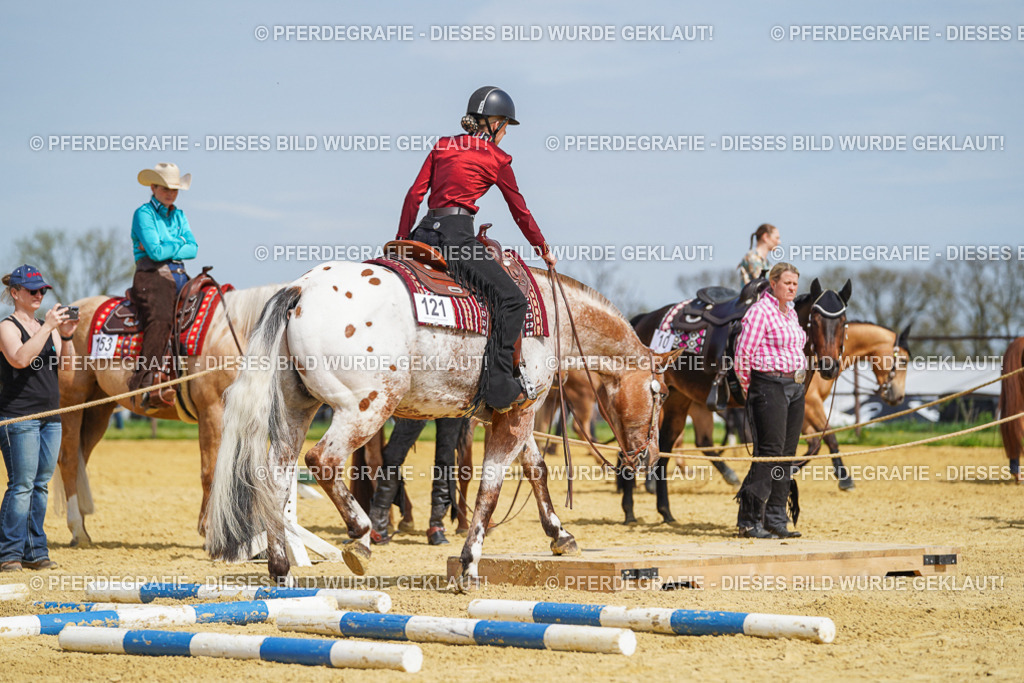 DSC04386 | Pferdegrafie