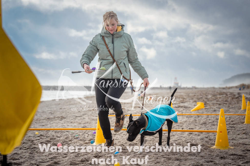 1159_ZZ93281 | kk-dogfotos