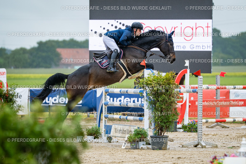 DSC03399 | Pferdegrafie