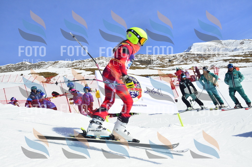 _ELE0068 | holidayphoto