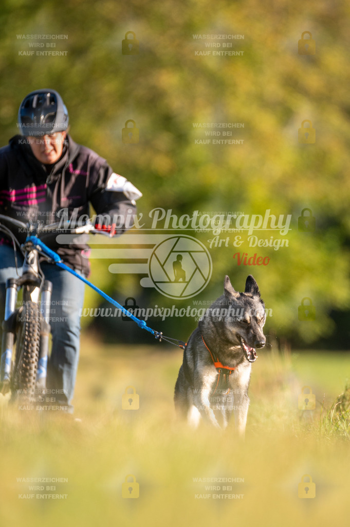 CDLBDB_15_10_2023_Dimanche-218 | PayLife