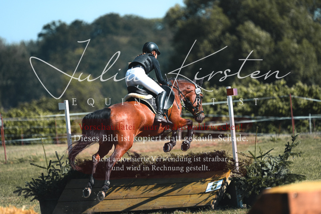 DSC_8162 | Pferde- und Turnierfotografie in Westsachsen. Pferdeportraits, Auftragszeichnungen und intuitive Kunst.