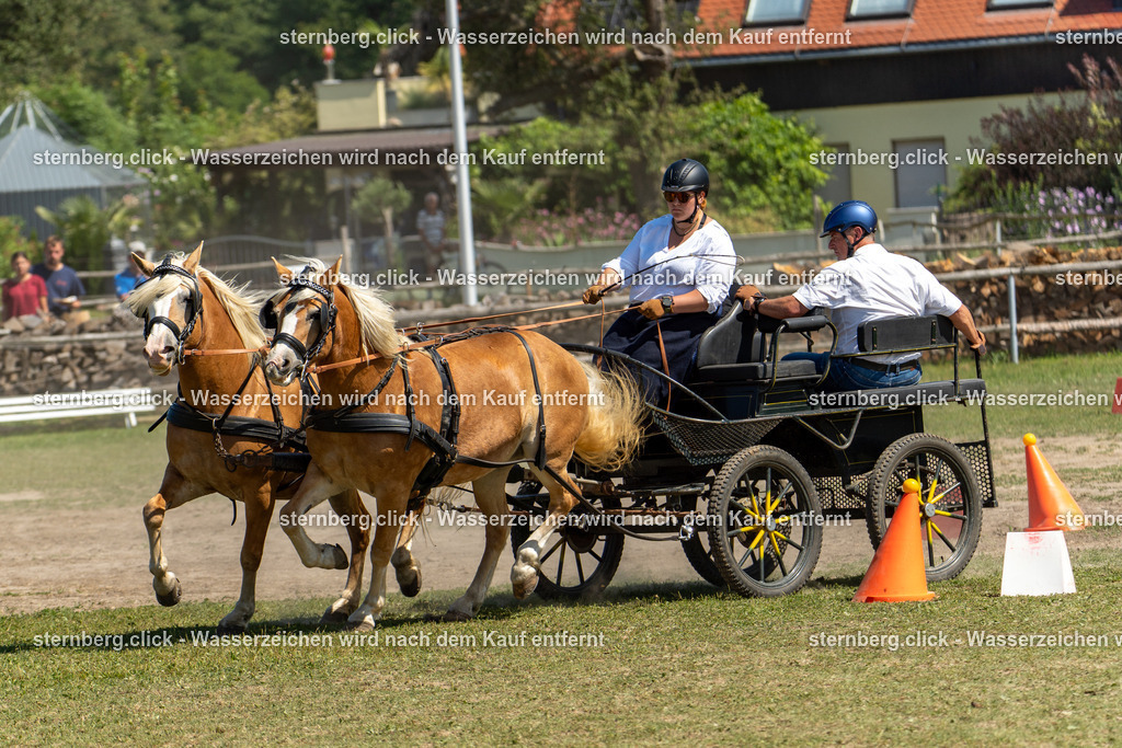 2026-08-09_12-17-33_WBO_Pulsnitz | sternberg.click - Realisiert mit Pictrs.com