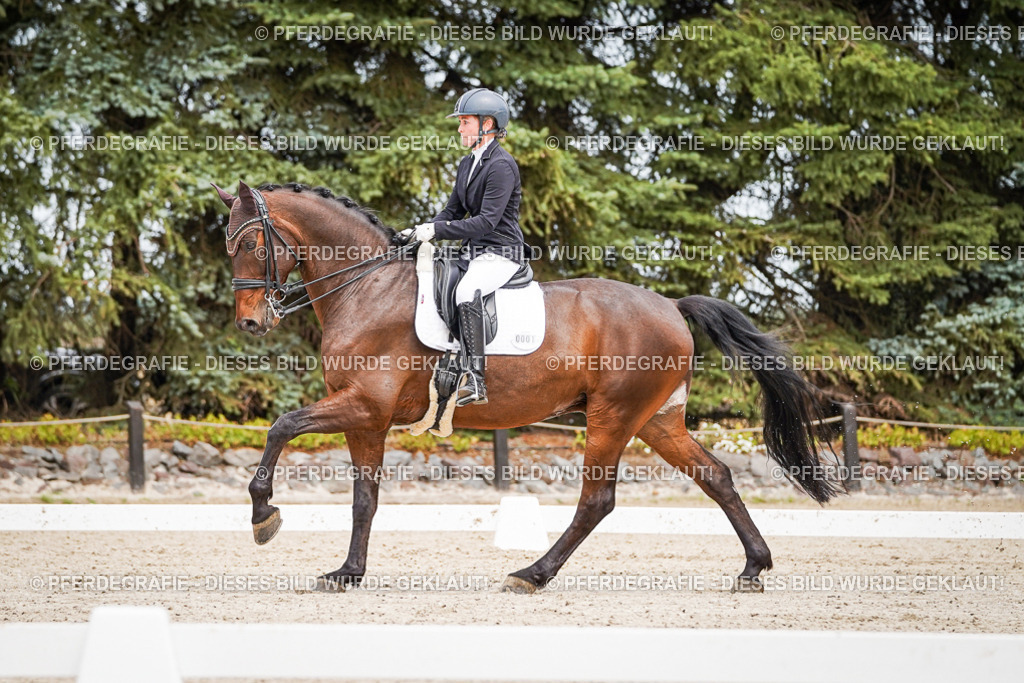 DSC04870 | Pferdegrafie