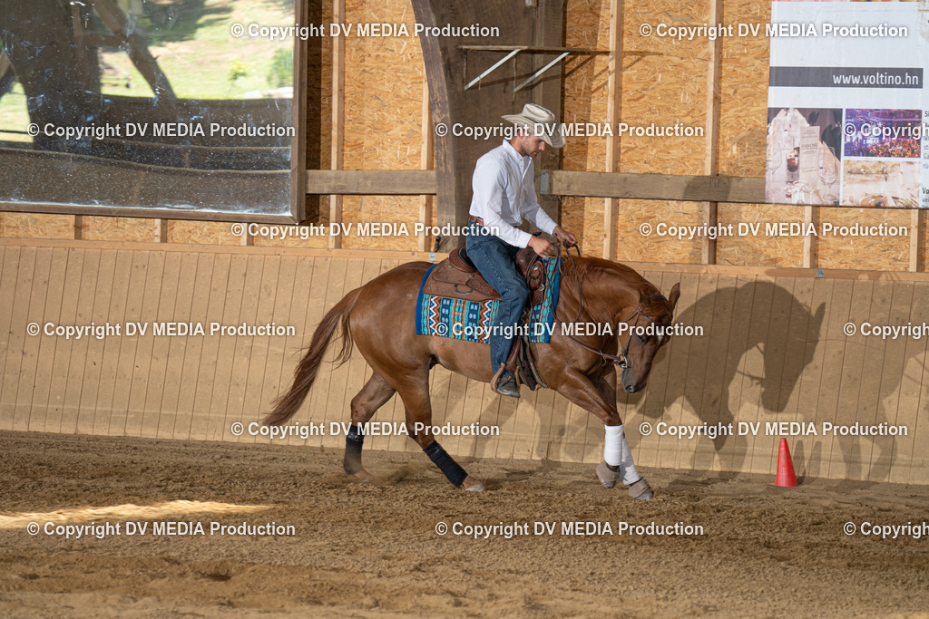 DSC00080 | dv-media-shop - Realisiert mit Pictrs.com