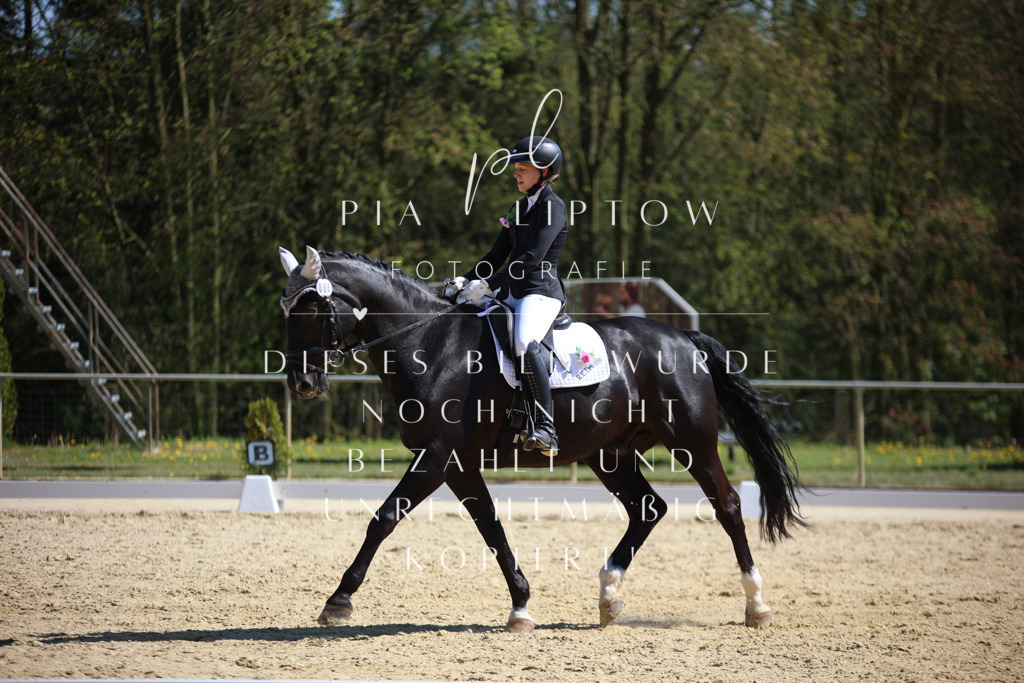 IMGT1813 | pl-fotografie