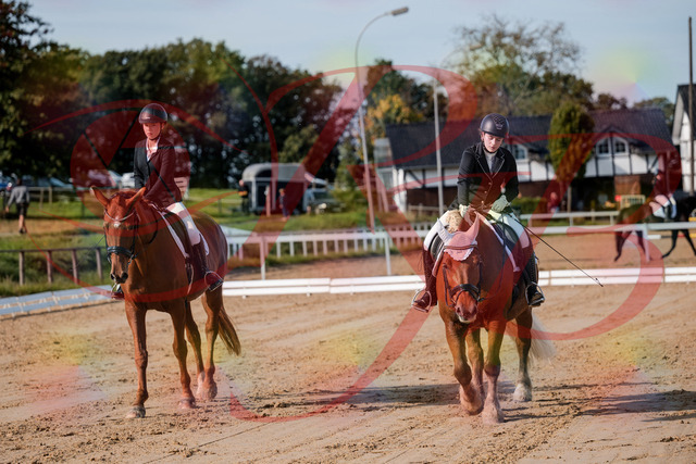 2026_10_03_Siefer-Hof_114448_Z63_24764732 | Professionelle Reitsport-, Turnier- und Eventfotografie von Robert Broda. Galerien mit ausgewählten und bearbeiteten Bildern direkt online ansehen und bestellen.