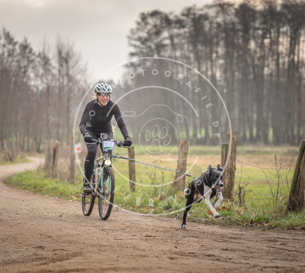 Pfotenfotografie_DV3A1566 | Hundefotografie, Tierfotograf, Pfotenfotografie, Fotoshooting Hund, Hunde Portrait, Hundesport, Hundeportraits, Heideshooting, Hunde, Sportfotograf, Hundefotograf, Turnierhundsport, THS,  - Realisiert mit Pictrs.com