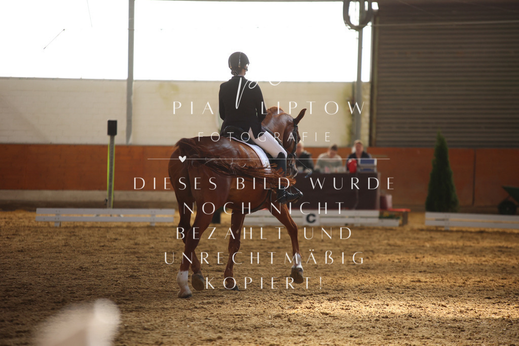 IMGT6949 | pl-fotografie