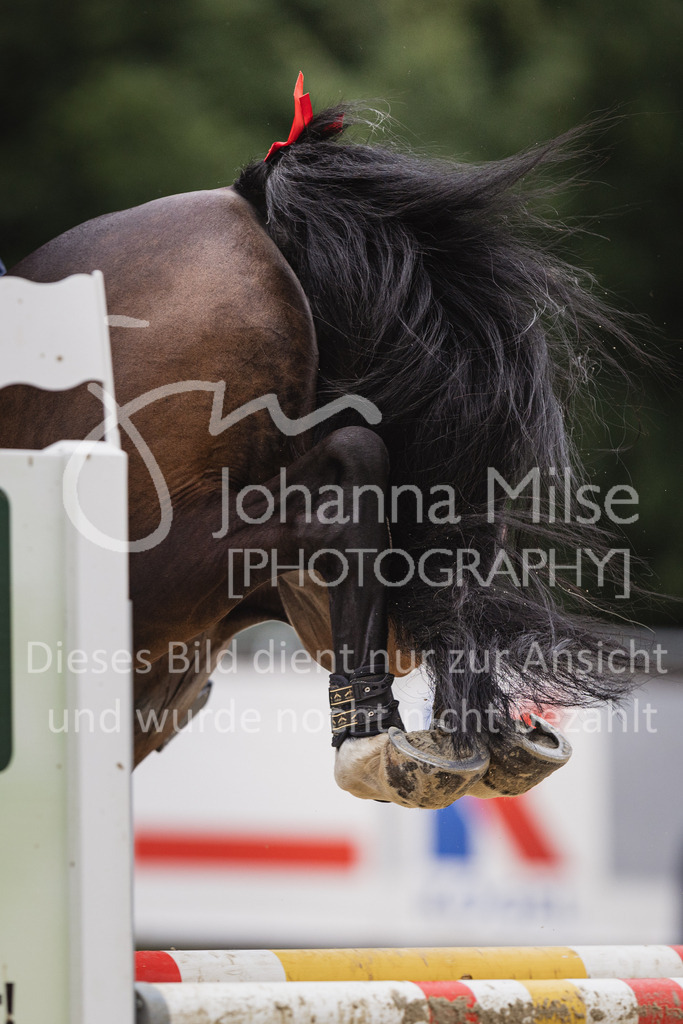 230727_BHO_Stil-L2-256 | Deine schönsten Turniermomente als professionelle Fotos! Entdecke hochwertige Pferdesport-Fotografie im Online-Shop. Jetzt Fotos finden & bestellen!