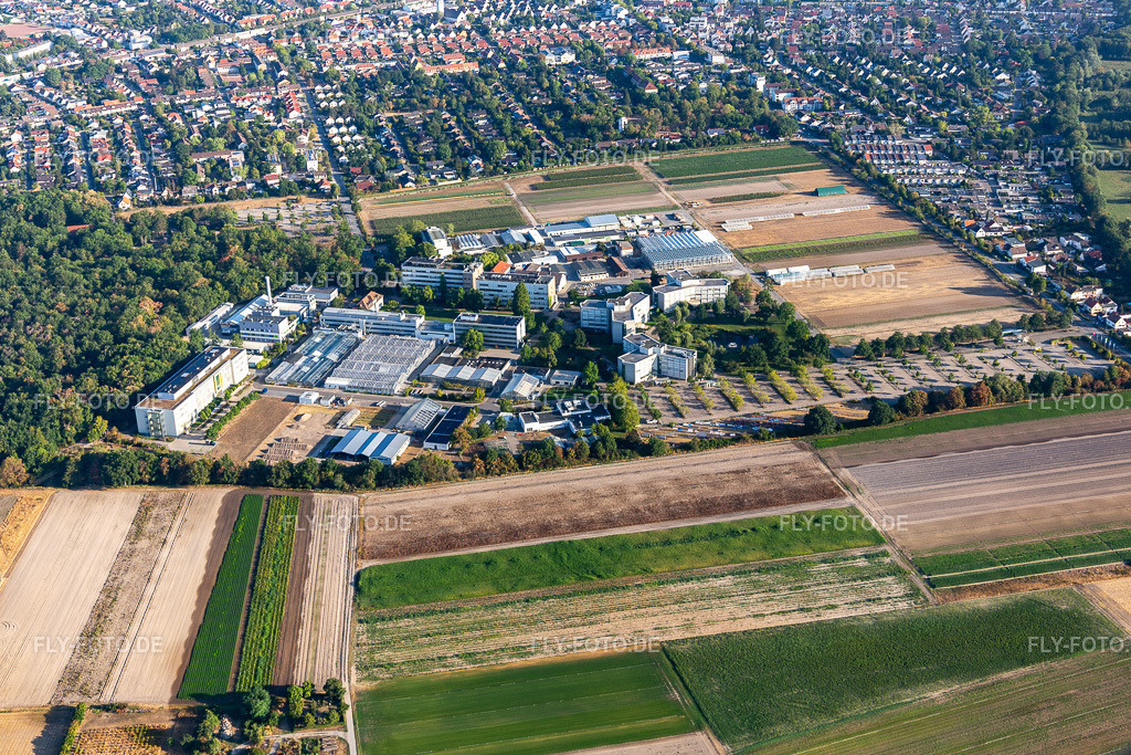 BASF Agricultural Center http://agriculture.basf.com/ | Luftbild: BASF Agricultural Center http://agriculture.basf.com/ in Limburgerhof im Bundesland Rheinland-Pfalz in Deutschland. Foto: IMG_133919.jpg vom 21.08.2022 durch ©2025 Werner Riehm fly-foto.de/copyright - Realisiert mit Pictrs.com