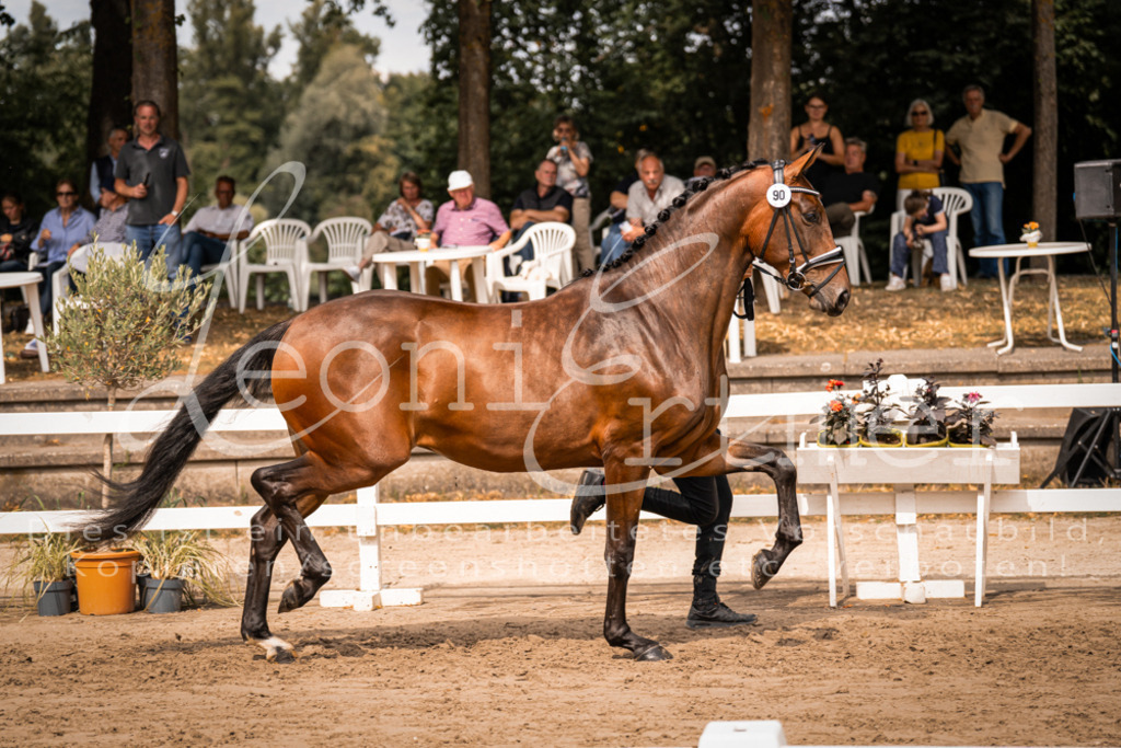 6.Fr00063 | Leoni Ertmer Photography - Realisiert mit Pictrs.com