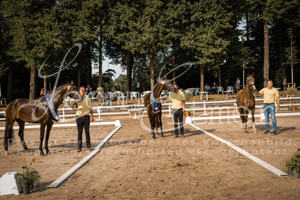 FrER00277 | Leoni Ertmer Photography - Realisiert mit Pictrs.com