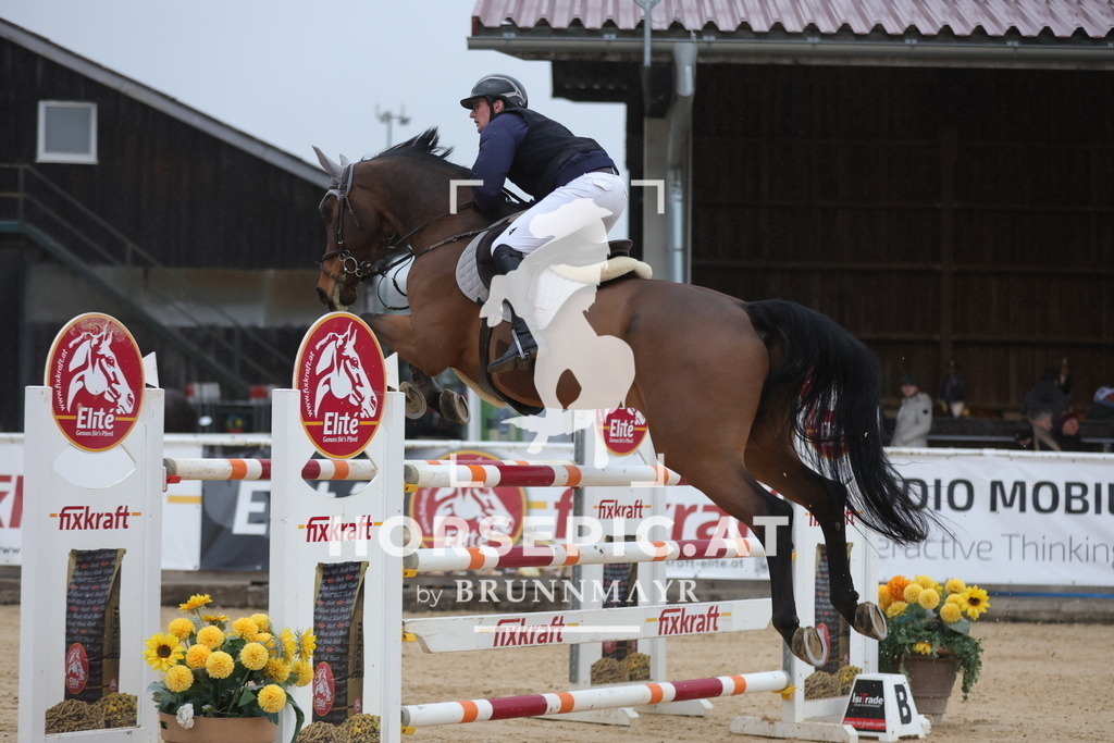 0P6A5559 | Willkommen bei Brunnmayr - Design & Fotografie – Ihrem Spezialisten für Reitturniere und Pferdeveranstaltungen in Oberösterreich, Salzburg und Bayern! Seit über 17 Jahren sind wir leidenschaftlich dabei.