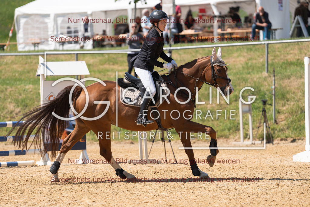 DSC04331 | Springturnier_Ehingen_Mai_2026, Hanna_Zivkovic, Belissimos_Pleasure_T