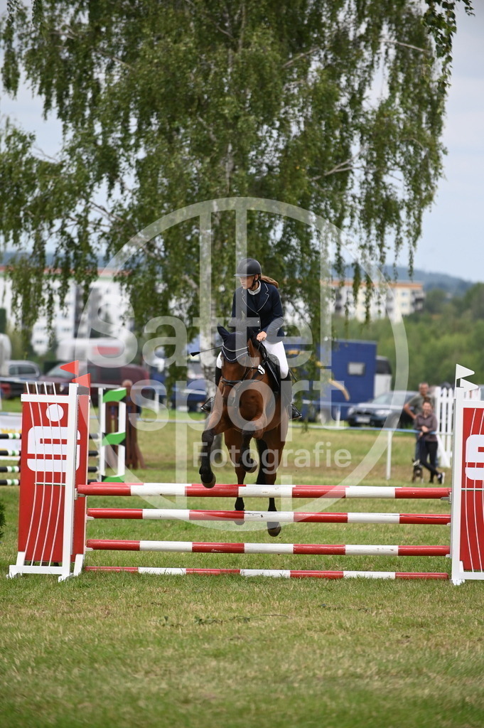 DSC_1772 | sattelsport - Realisiert mit Pictrs.com