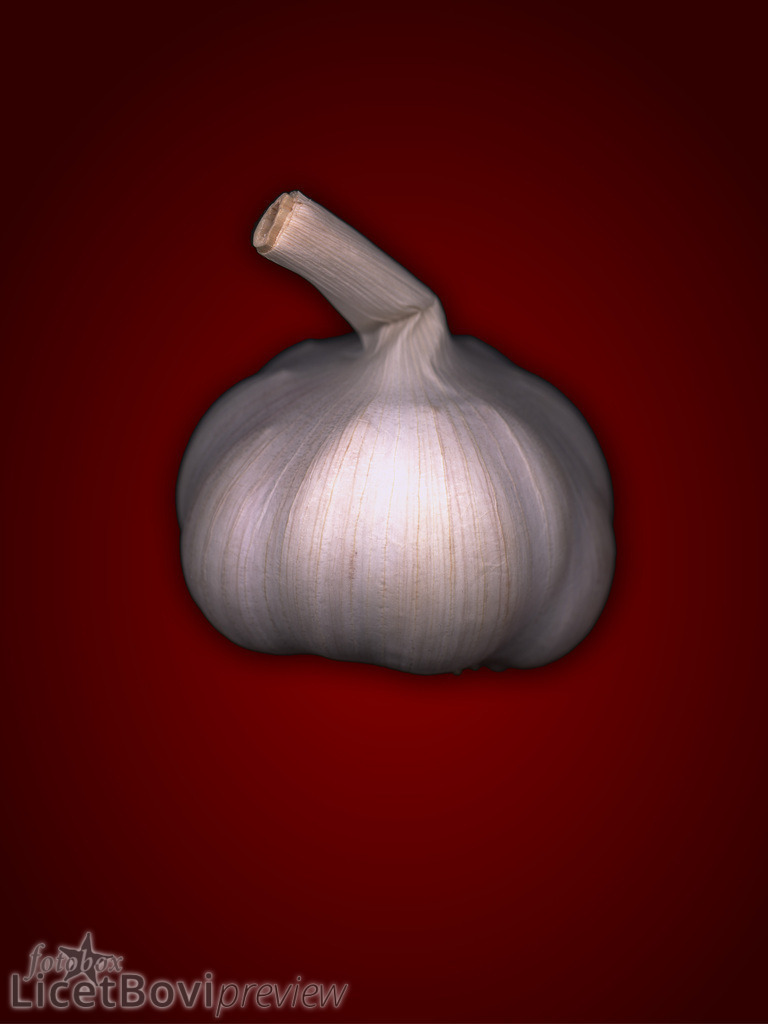 Knoblauch | Hamburg-Bilder, Stadt- und Naturlandschaften, Schafe, Gemüse und Stillleben – dekorative Fotos auf Leinwand, Acryl oder Papier in vielen Formaten oder als Monats-Kalender.
  - Realisiert mit Pictrs.com