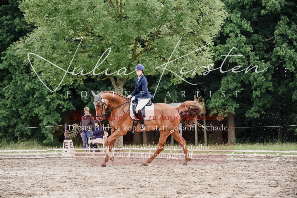 DSC_9926 | Pferde- und Turnierfotografie in Westsachsen. Pferdeportraits, Auftragszeichnungen und intuitive Kunst.