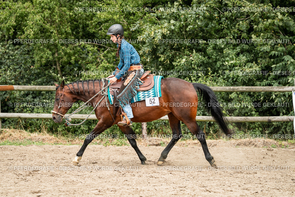 DSC01504 | Pferdegrafie