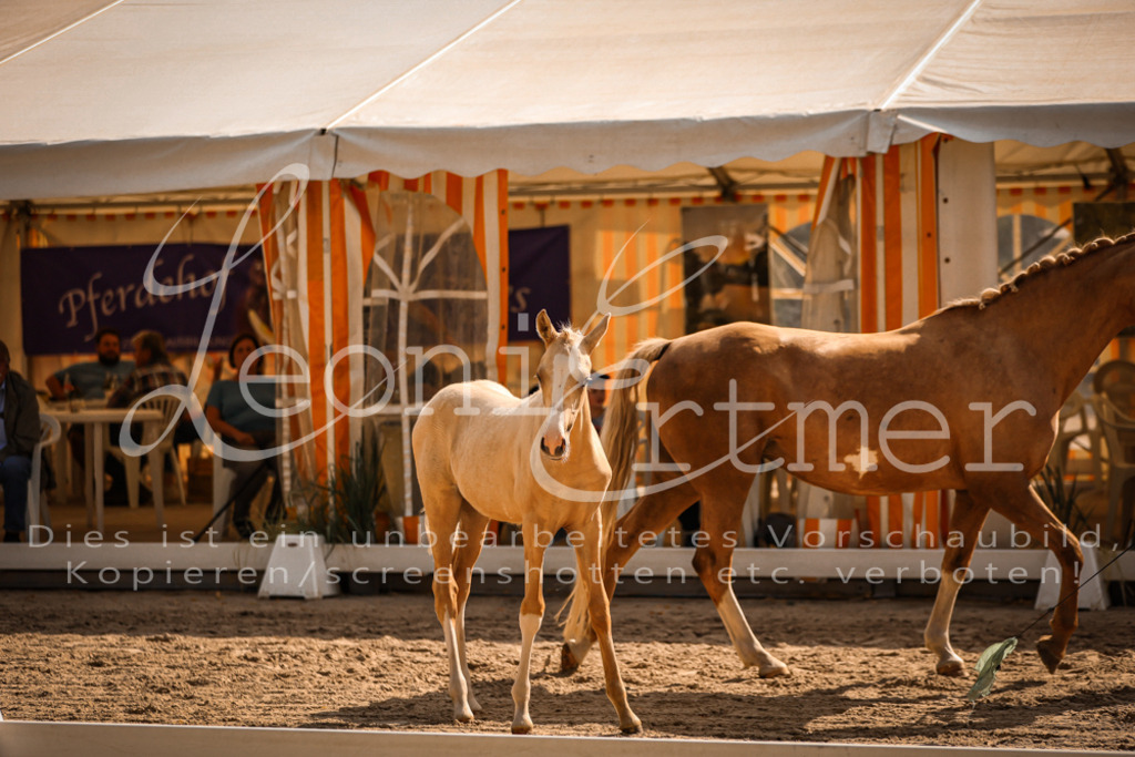 10.DoRP00125 | Leoni Ertmer Photography - Realisiert mit Pictrs.com