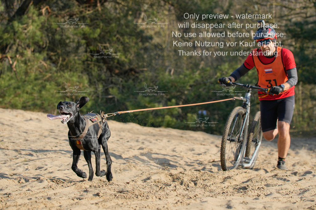 So_Scooter-194 | stephaniefillaphotographie - Realisiert mit Pictrs.com