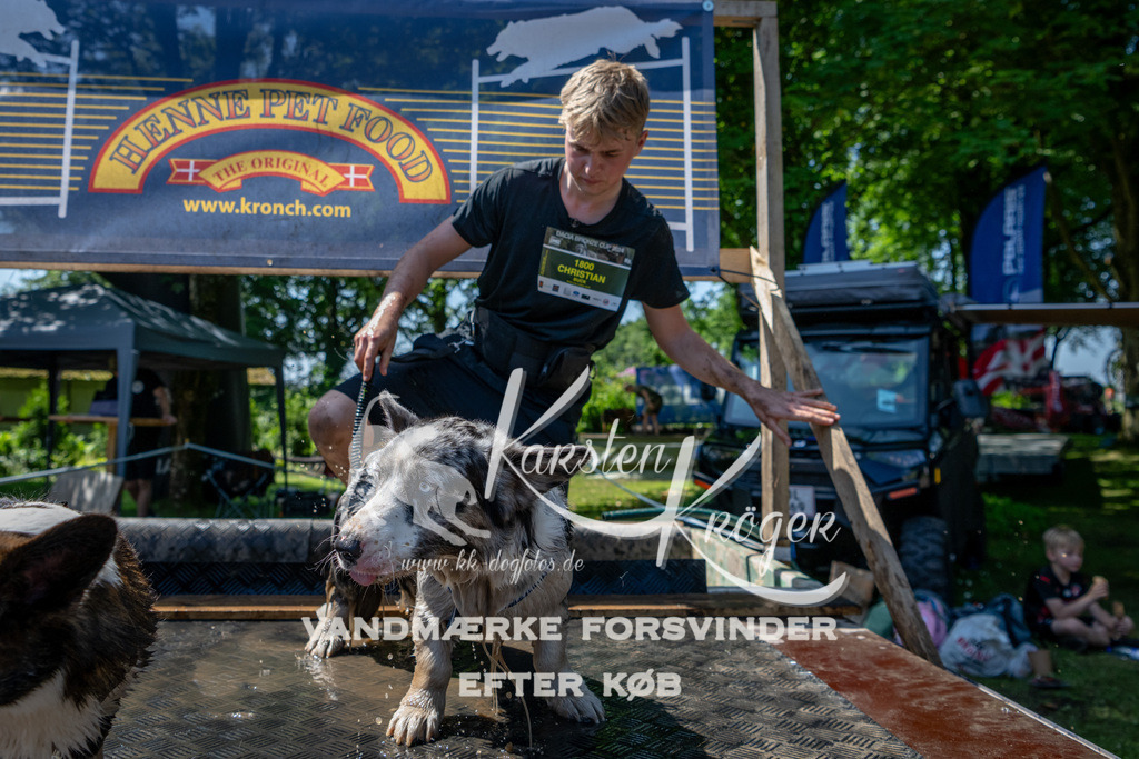 1237_ZZ91467 | kk-dogfotos