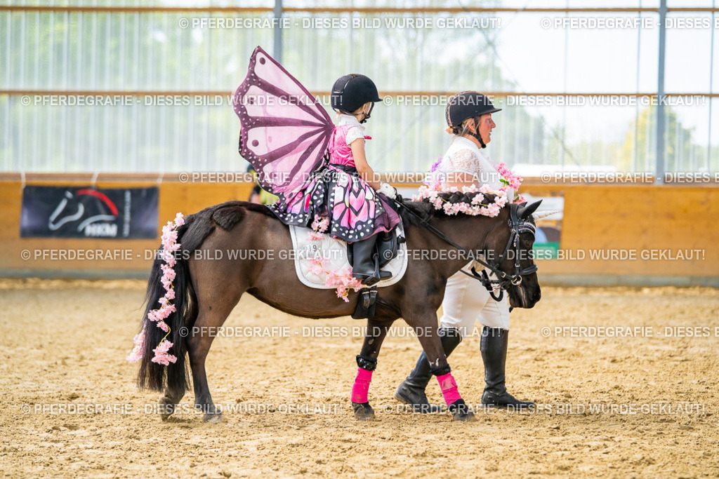 DSC09832 | Pferdegrafie