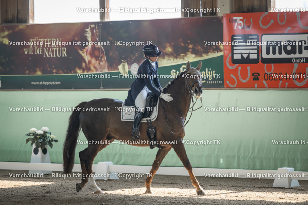 _D5A9219 | Emotionale Pferde- & People-Fotografie rund um Heidelberg, Leimen & Umgebung. Natürliche Fotos von Pferd, Mensch & Familie. Jetzt Termin sichern!