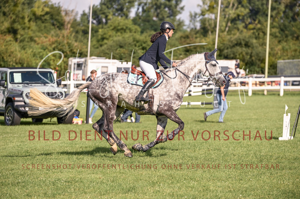 Schugtsche-Düren.2024-07.Amat.Springprf.A__-105 | Schugtsche Fotografie - Realisiert mit Pictrs.com