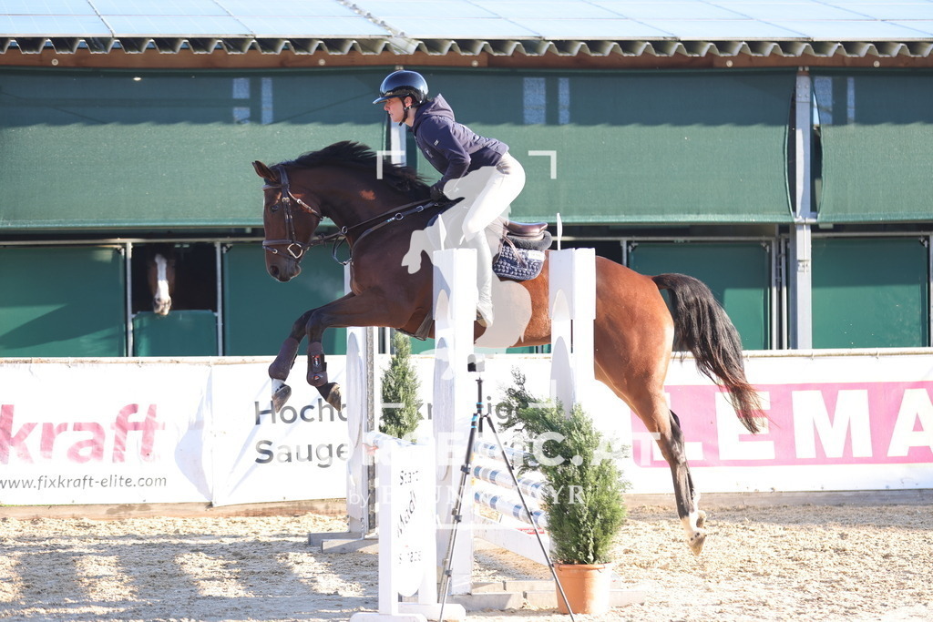 0P6A8708 | Willkommen bei Brunnmayr - Design & Fotografie – Ihrem Spezialisten für Reitturniere und Pferdeveranstaltungen in Oberösterreich, Salzburg und Bayern! Seit über 17 Jahren sind wir leidenschaftlich dabei.