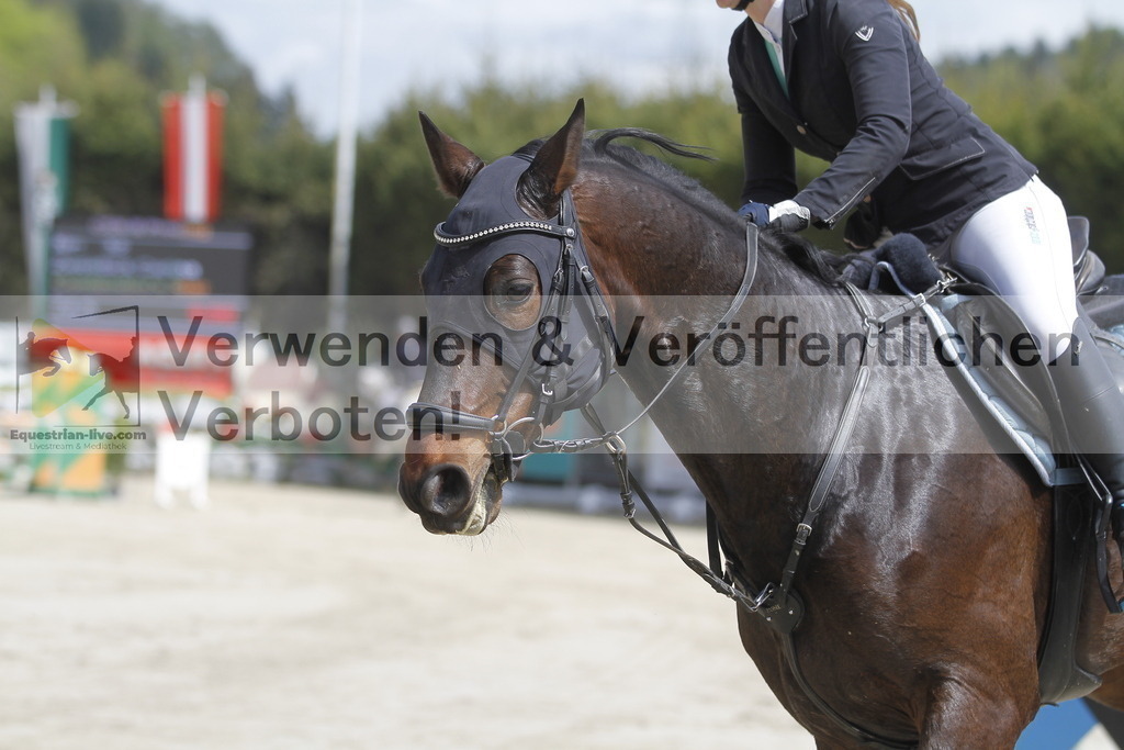 _MG_5385 | equestrian-live-com
