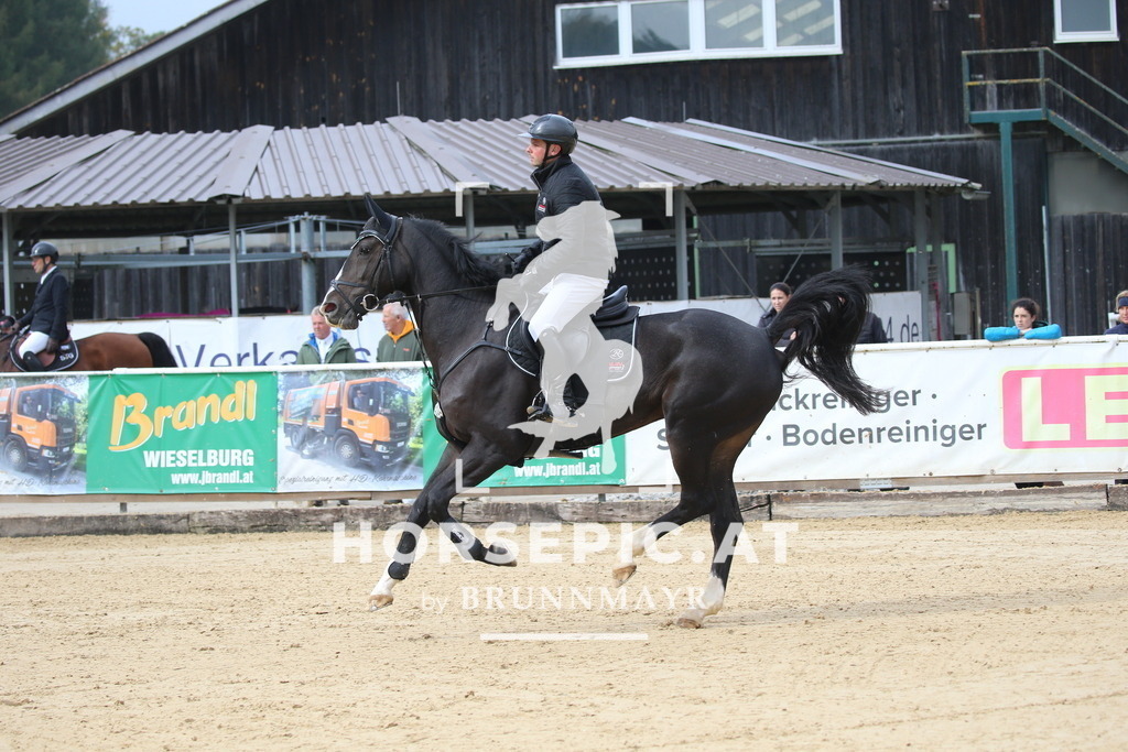 DL2Q0896 | Willkommen bei Brunnmayr - Design & Fotografie – Ihrem Spezialisten für Reitturniere und Pferdeveranstaltungen in Oberösterreich, Salzburg und Bayern! Seit über 17 Jahren sind wir leidenschaftlich dabei.