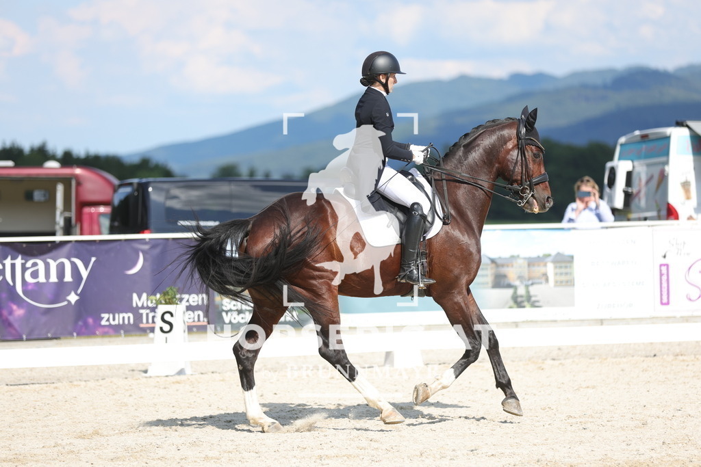 0P6A2372 | Willkommen bei Brunnmayr - Design & Fotografie – Ihrem Spezialisten für Reitturniere und Pferdeveranstaltungen in Oberösterreich, Salzburg und Bayern! Seit über 17 Jahren sind wir leidenschaftlich dabei.
