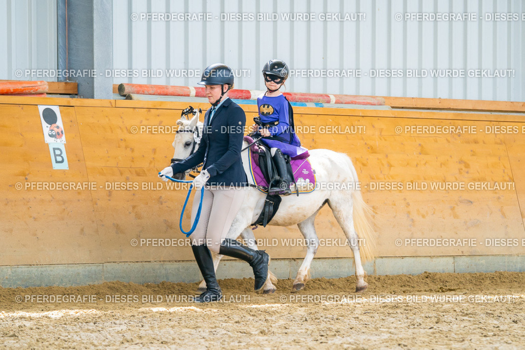 DSC09972 | Pferdegrafie