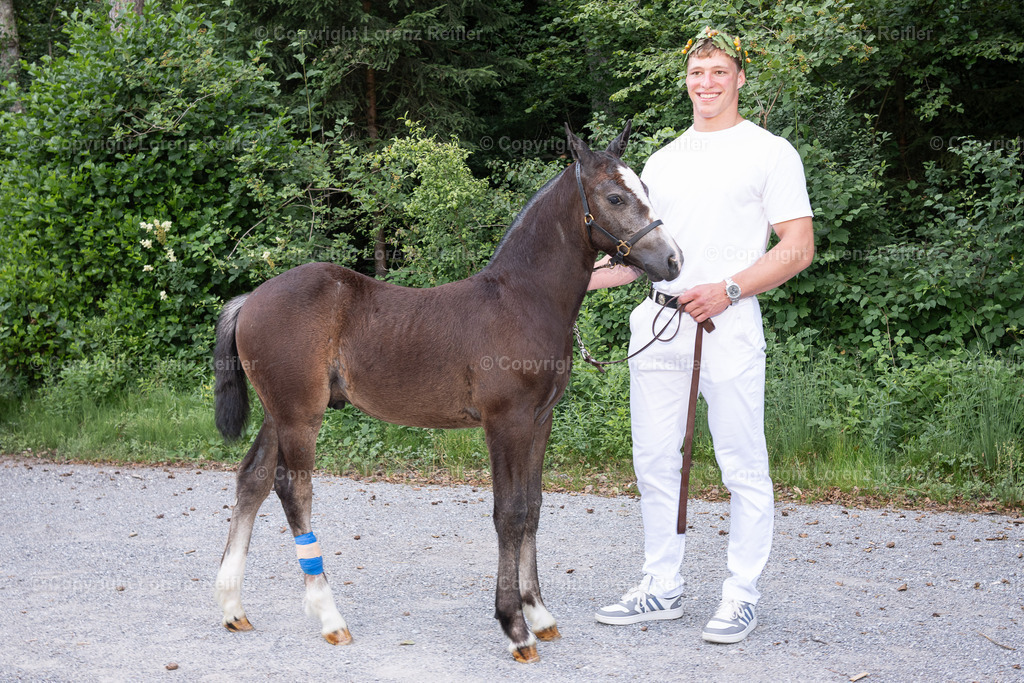 Schwingen -  NOS 2025 | St.Gallen, 29.6.25, Schwingen - NOS.