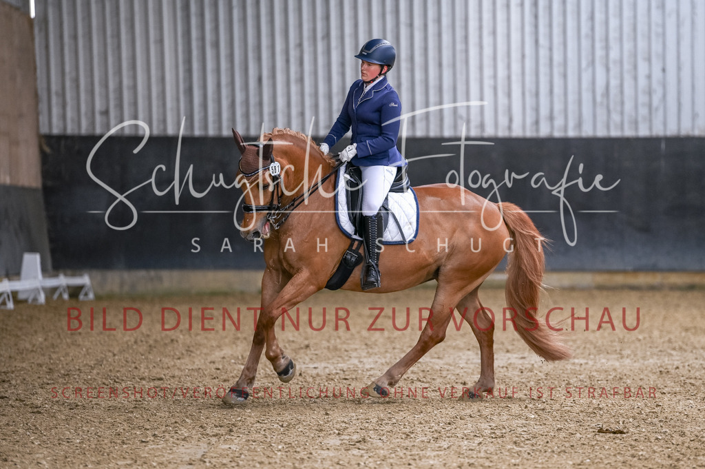 Schugtsche-Aluta25-57.Dressurprf.M1Kand-139 | Schugtsche Fotografie - Realisiert mit Pictrs.com