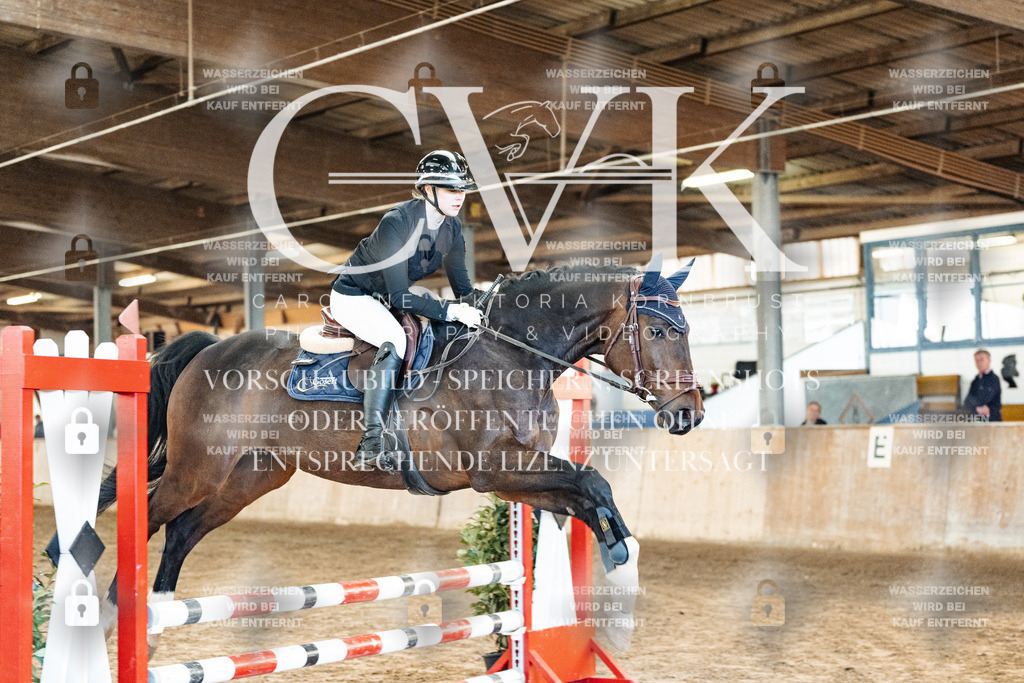 CK903823 | Turnierfotografie Pferdefotografie Trier Rheinland-Pfalz Pferdesport Reitsport Tierfotografie Sportfotografie Pferdevideo Pferdevideografie Equestrianvideography equestrianphotography  - Realisiert mit Pictrs.com