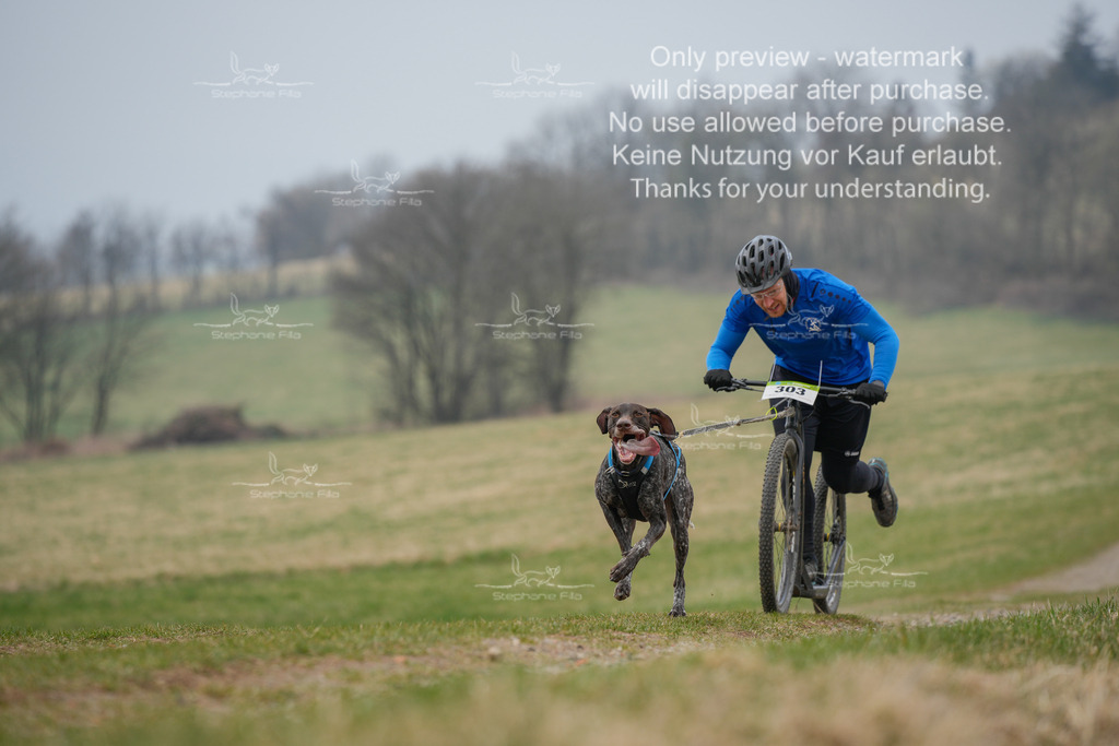 ScooterSA-14 | stephaniefillaphotographie - Realisiert mit Pictrs.com