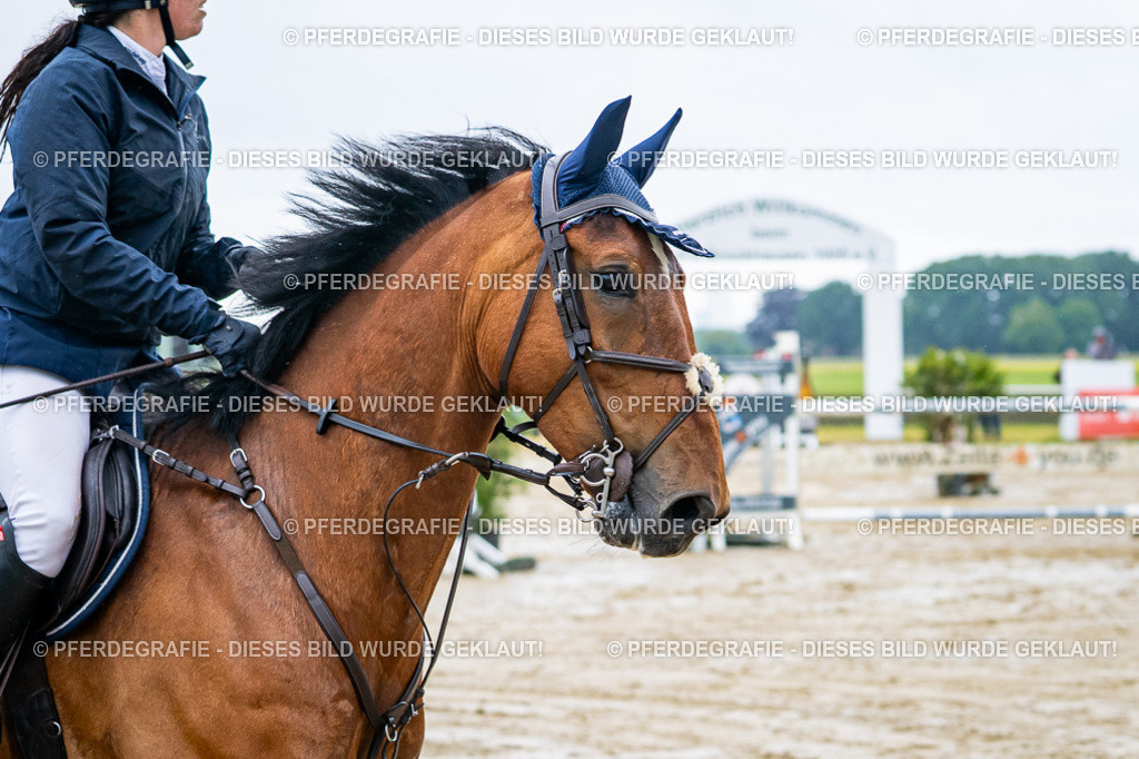 DSC03603 | Pferdegrafie