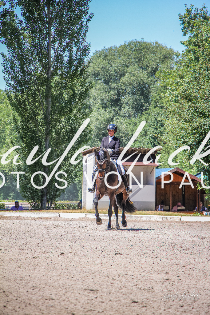 IMG_0801 | Erleben Sie dynamische Sport- und emotionale Tierfotografie in Süddeutschland mit Fotos von Paula. Spezialisiert auf Pferde- und Hundefotografie sowie Sportevents. Kontaktieren Sie mich für einzigartige und ausdrucksstarke Bilder Ihrer besonderen Momente.